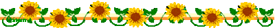 linie1.gif