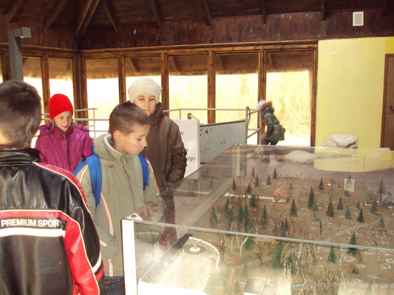 k5.jpg