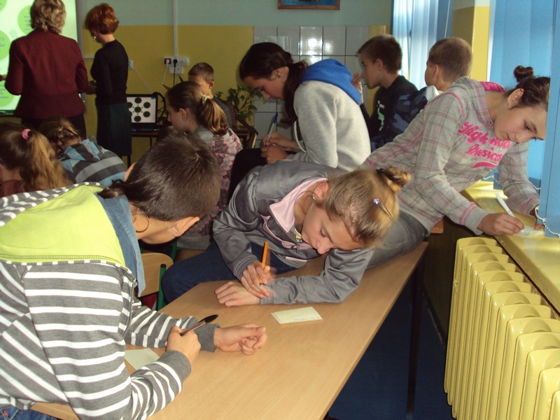 d7.jpg
