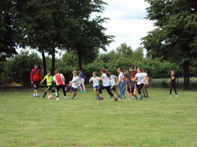p7.jpg