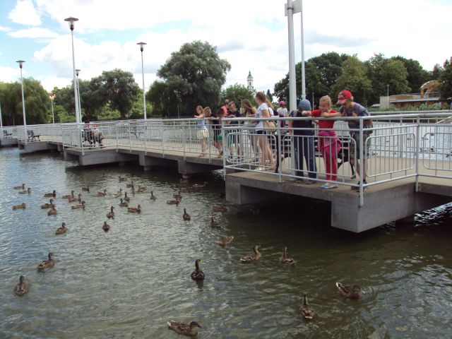 dsc04047.jpg