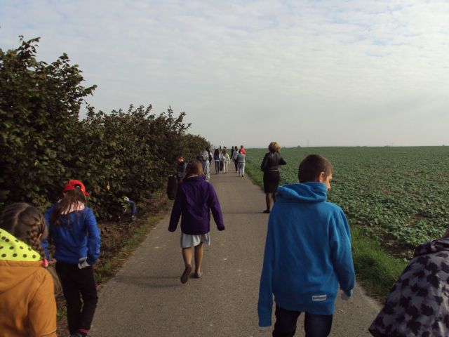 dsc04240.jpg