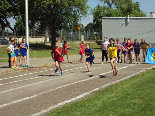 dsc06377.jpg