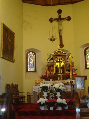 p5.jpg